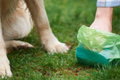 Request Quote: Pet Potty Patrol Pet Waste Removal - Fort Collins, CO