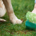 Pet Potty Patrol Pet Waste Removal - Fort Collins, CO