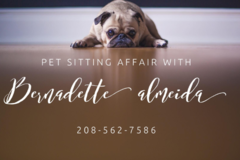 Request Quote: Pet Sitting Affair - In Home Pet Sitting Service - Boise, ID