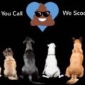 Scoop The 309 - Pet Waste Removal Service - Eureka, IL