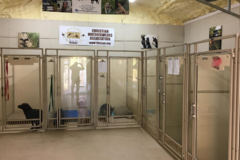 Request Quote: Southern Pine Dog Kennels and Canine Training - Blackshear, GA