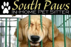 Request Quote: South Paws In-Home Petsitter - Lakeland, FL