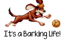 Request Quote: Barking Life Pet Concierge - Katy, TX