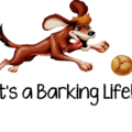 Barking Life Pet Concierge - Katy, TX