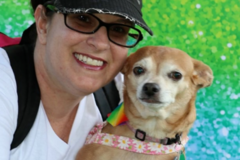 Request Quote: Dori’s Doggie Domain - In Home Pet Sitting Service - Winter Springs, FL