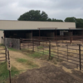 Robin Martin Horse Boarding - Fredericksburg, TX