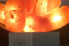 Request Quote: Reiki’s Light - Animal Reiki Practitioner  - Nationwide