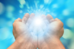 Request Quote: Twin Cities Reiki Master - Animal Reiki Care - Nationwide