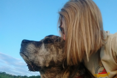 Request Quote: Ruff World Training - Private Dog Training Service - Brookville, PA