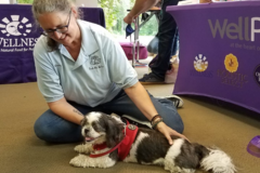 Request Quote: Rub My Belly Animal Massage & Reiki - Lowell, MA