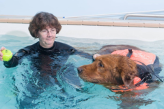 Request Quote: K9 Swim & Trim, Inc. - Dog Physical Therapy  - Long Grove, IL
