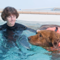 K9 Swim & Trim, Inc. - Dog Physical Therapy  - Long Grove, IL