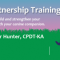 Positive Partnership Private Dog Training - Evanston, IL