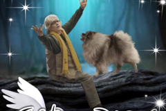 Request Quote: Hands and Paws LLC - Animal Reiki - Nationwide