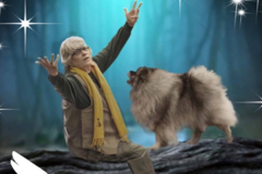 Request Quote: Hands and Paws - Dog Training - Salem, OR