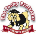 The Pooky Professor - Dog Training, Sitting & Photography - Little Falls, NJ