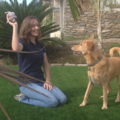 Wonder Dog Training - Private In Home Dog Training - Escondido, CA