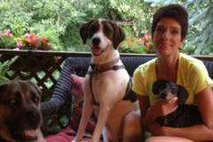 Request Quote: Fun Fitness with Fido Pet Care Solutions - Omaha, NE