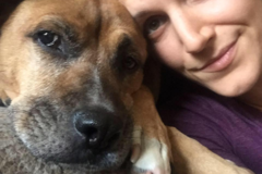 Request Quote: No Problem! In Home Private Dog Training - Los Angeles, CA