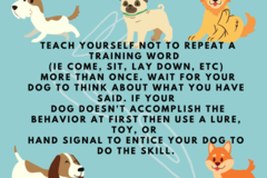 Request Quote: Good Dog Concept Training - Private Puppy and Dog Trainer - Mt Laurel Township, NJ
