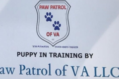 Request Quote: Paw Patrol of VA - Certified Private Dog Trainer - Manassas Park, VA