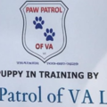 Paw Patrol of VA - Certified Private Dog Trainer - Manassas Park, VA