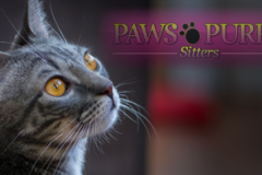 Request Quote: Paws and Purrs In Home Pet Sitting Services - Nether Providence Township, PA