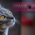 Paws and Purrs In Home Pet Sitting Services - Nether Providence Township, PA