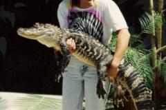 Request Quote: AllPets Training & Behavior Solutions, LLC - Columbus, NC