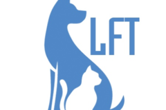 Request Quote: Little Furry Things - Dog Walkers and In Home Pet Sitters - Seattle, WA