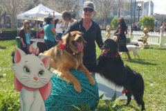 Request Quote: The Animal Cracker - Chiro-Fit - Pet Chiropractor - Lake Mary, FL