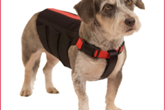 Request Quote: Wiggleless Back Brace - Dog Physical Therapy - Oxnard, CA
