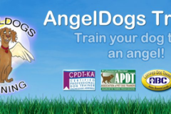 Request Quote: AngelDogs Training - Certified Private Dog Trainer - Santa Clarita, CA