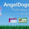 AngelDogs Training - Certified Private Dog Trainer - Santa Clarita, CA