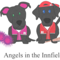 Angels in the Innfield - Private Dog Training Service - Southington, OH