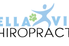 Request Quote: Bella Vita Animal Chiropractic Care - Durham, NC