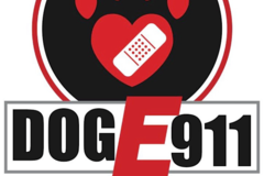 Request Quote: DogE911 - Pet First Aid Training - Santa Maria, CA - Nationwide