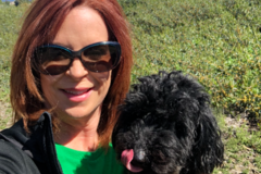 Request Quote: The Pet Sitter - Laguna Hills, CA