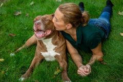 Request Quote: Animal Communicator - Psychic Medium  - White Plains, NY