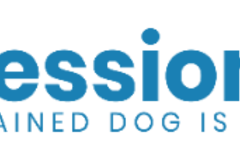 Request Quote: Professional Paws - In Home Private Dog Training Service - Lexington, SC