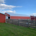 Jasper Farms, LLC - Horse Boarding - Baltimore, OH