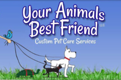 Request Quote: Your Animals Best Friend - Pet Boarding - Huntington Beach, CA