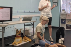 Request Quote: Pets1st - Pet First Aid Training - Tempe, AZ