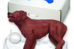 Request Quote: Oregon CPR / Owner - Pet First Aid Training - Springfield, OR - Nationwide