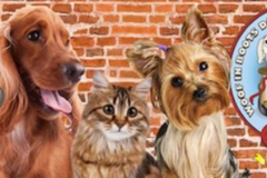 Request Quote: Woof In Boots Pet Boarding and Dog Daycare - Denver, CO