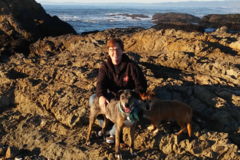 Request Quote: Good Dogs Pet Sitting - Cloverdale, CA