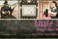 Request Quote: Little Barks Mobile Grooming and Boutique - Columbia, SC