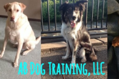 Request Quote: AB Dog Training Group and Private Classes  - Stow, OH