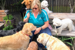 Request Quote: Auntie Donna's Pet Nanny Services, LLC - Vancouver, WA