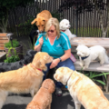 Auntie Donna's Pet Nanny Services - Vancouver, WA